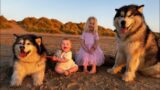 Our Holiday Routine With 3 Dogs And 2 Children! (Organised Chaos!!)