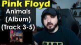 PINK FLOYD – ALBUM Animals (Tracks 3-5) | FIRST TIME REACTION PINK FLOYD ANIMALS ALBUM
