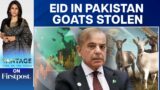 Pakistan Hopes IMF Deal Will Raise Spirits This Eid al-Adha | Vantage with Palki Sharma