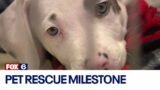 Pet rescue operation milestone; Wisconsin welcomes animals from south | FOX6 News Milwaukee
