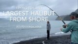 Shore FIshing HALIBUT in Seward Alaska against all odds