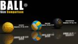 Sports balls size Comparison | 3D comparison | base ball | shorts | soccer | sports ball |