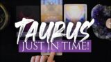 TAURUS TAROT READING | AGAINST ALL ODDS TAURUS! JUST IN TIME!
