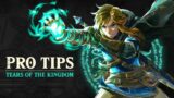 Tears Of The Kingdom | PRO TIPS – You Should Know From The Start!