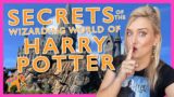 The BEST KEPT SECRETS In Universal's Wizarding World Of Harry Potter