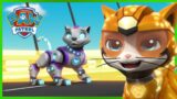 The Pups Meet the Cat Pack! | PAW Patrol Rescue Episode | Cartoons for Kids!