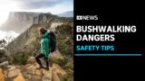 The call of Tasmania's wild also lures danger, with more walkers going missing | ABC News