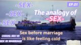 The experience and analogy of S.E.X.