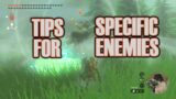 Tips for Specific Enemies – Tears of the Kingdom