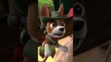 Tracker swings through the Jungle to the rescue! | PAW Patrol #Shorts