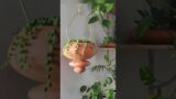 Trending Pot/ Planters/Terracotta Pots# Planters # Terracotta#Unique Terracotta# Shorts Video