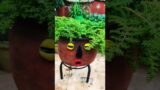 Tribal Rustic pot Face in my terracotta planter