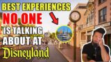 UNDERRATED Disneyland Experiences You Might Have Skipped!