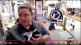 Update on Will Power, Tasco, and a Chat 07-20-2023  Friends of Felines Rescue Center (FFRC)