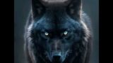 Werewolf the Podcast.  Werewolf's thoughts on Twilight saga.