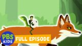 Wild Kratts | Outfoxed | PBS KIDS