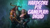 WoW Classic Hardcore PTR Druid – Part 3