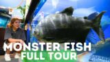 World's LARGEST Monster Fish Room! FULL Tour at Ohio Fish Rescue