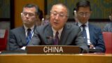 Zhang Jun: NATO is the real troublemaker