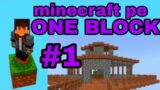 minecraft pe one block survival series episode 1 #1