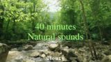 40 minutes Natural sounds | White noise, Pink Noise, Baby soothing, Nature sounds