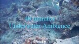 40 minutes underwater ambience | White noise, Pink Noise, Baby soothing, Nature sounds
