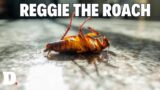 A message to Reggie Wrong Jr. AKA “REGGIE THE ROACH”