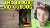 American reacts to 'Realer Irrsinn: Hamburger Hundezaun'