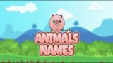 Animals Names Review (Switch)