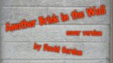 Another Brick in the Wall Part Two – cover version by David Gordon