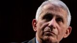 Anthony Fauci’s statements not ‘standing up to scrutiny’