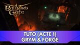 Baldur's Gate 3 Tuto FR : Grym & Forge d'Adamantium