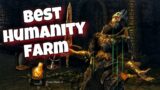Best Humanity Farm In Dark Souls Remastered…
