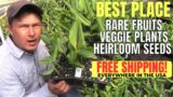 Best Online Source for Rare Fruits & Vegetable Plants & Heirloom Seeds