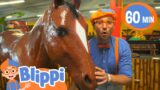 Blippi Learns About Jungle Animals at the Indoor Playground | @Blippi