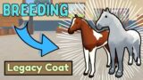 Breeding *LEGACY COATS* | Wild Horse Islands