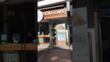 Cat Cafe #shorts #catcafe