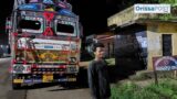 Cattle smugglers nabbed in Loisingha