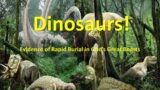 DINOSAURS! Evidence of Rapid Burial and Other Discoveries. #dinosaur #jurassic #viral #fossil
