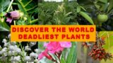 DISCOVER THE WORLD DEADLIEST PLANTS!!! #discover #world #deadliest  #plants