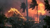 Death toll climbs from Maui fire burning in Hawaii, county says