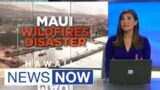 Death toll in Lahaina wildfire rises to 99 as hundreds remain unaccounted for