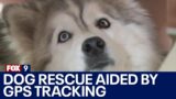 Dog rescue aided by GPS tracking collar