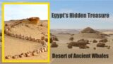 Egypt's Hidden Treasure | Wadi Al Hitan, Desert of Ancient Whales