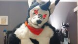 (FURRY ASMR LIVE ) "make you a good boy"