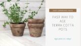 Fast Way To Age Terra Cotta Pots