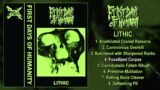 First Days Of Humanity – Lithic FULL EP (2022 – Goregrind)