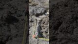 Geode Digs at Dugway Utah
