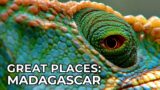 Great Places of the World | Episode 3: Madagascar | Free Documentary Nature