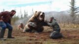 Grizzly Shot 9 Times With Rifle And Still Ambushes Hunters